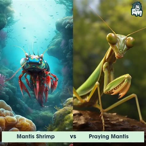 free thinking pinoy channel|Mantis VS WILD ANIMALS .